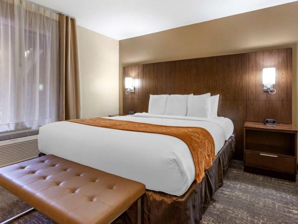 Comfort Suites at Sabino Canyon : photo 8 de la chambre chambre lit king-size