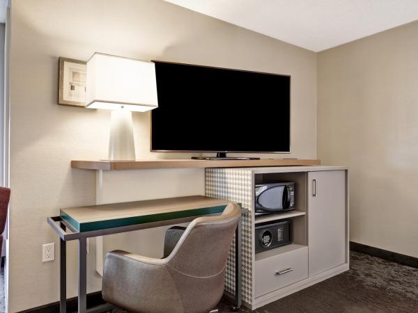 Holiday Inn - Ottawa Dwtn - Parliament Hill, an IHG Hotel : photo 2 de la chambre suite lit king-size – non-fumeurs
