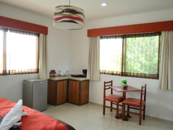 Hotel Real Mercedes : photo 3 de la chambre suite junior