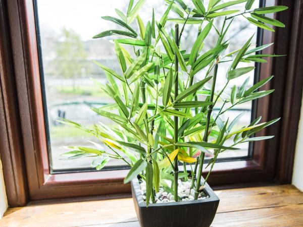 Tipperary House Dublin : photo 4 de la chambre petite chambre double