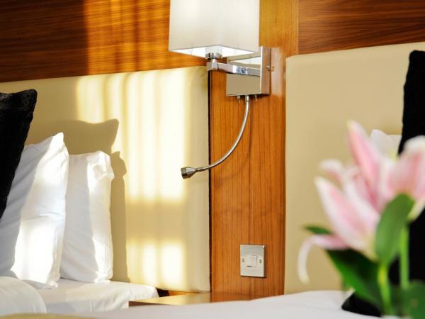 Mercure London Bloomsbury Hotel : photo 1 de la chambre petite chambre double