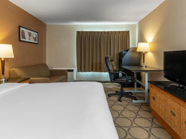 Comfort Inn South : photo 5 de la chambre chambre lit queen-size 