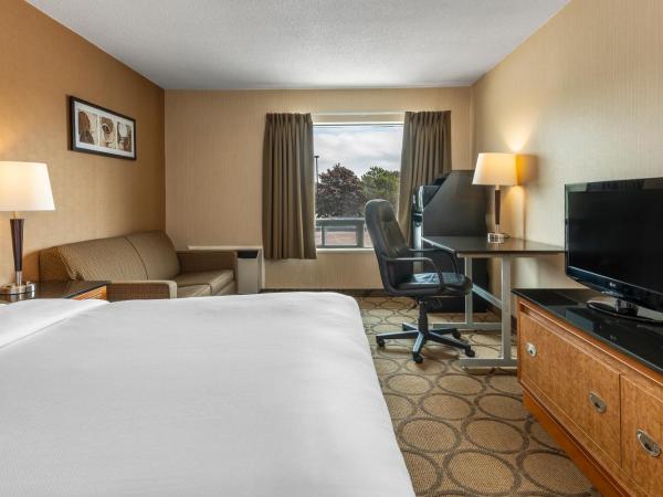 Comfort Inn South : photo 1 de la chambre chambre lit queen-size 