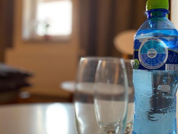 Penzion U Martina : photo 5 de la chambre chambre double