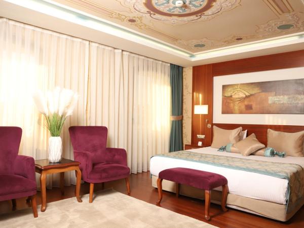 Hurry Inn Merter Istanbul : photo 3 de la chambre chambre simple supérieure