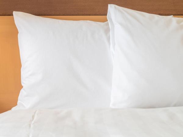 Holiday Inn Express Hyderabad Banjara Hills, an IHG Hotel : photo 5 de la chambre chambre standard lit queen-size