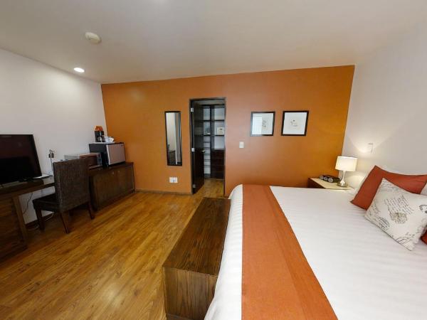 Suites Copérnico Polanco Anzures : photo 5 de la chambre chambre lit king-size standard