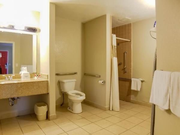 Howard Johnson by Wyndham Houston Hobby : photo 2 de la chambre chambre lit king-size - accessible aux personnes à mobilité réduite - non-fumeurs