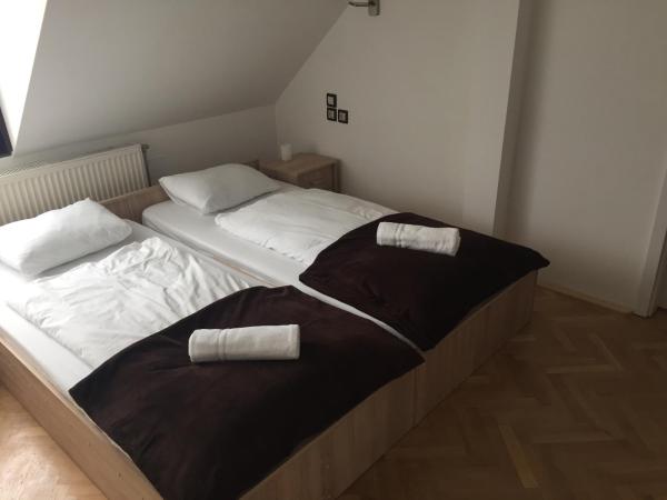 Vulkán Wellness Panzió : photo 1 de la chambre appartement