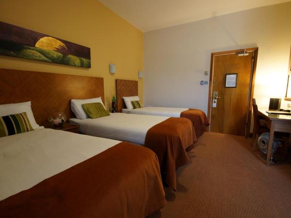 Treacy's Hotel Spa & Leisure Club Waterford : photo 4 de la chambre chambre familiale (2 adultes et 2 enfants)