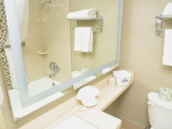 Days Inn by Wyndham Ottawa : photo 3 de la chambre chambre 2 lits doubles - animaux acceptés