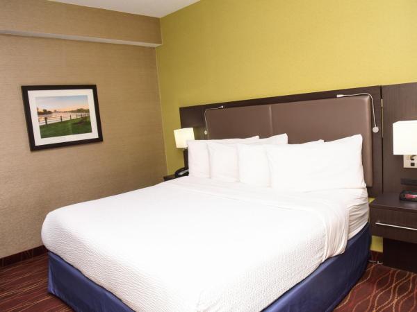 Days Inn by Wyndham Ottawa : photo 1 de la chambre suite lit king-size deluxe - non-fumeurs