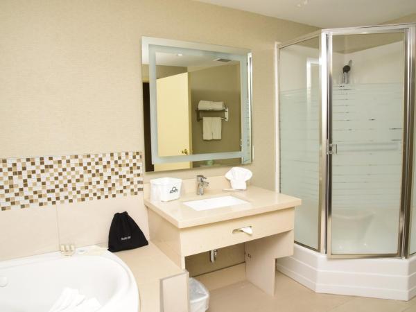 Days Inn by Wyndham Ottawa : photo 3 de la chambre suite lit king-size premium - non-fumeurs