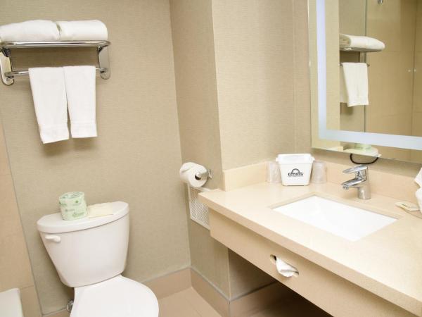 Days Inn by Wyndham Ottawa : photo 3 de la chambre chambre 1 lit double