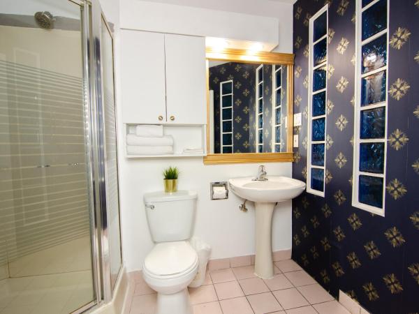 Hotel Dorion : photo 6 de la chambre suite avec baignoire spa