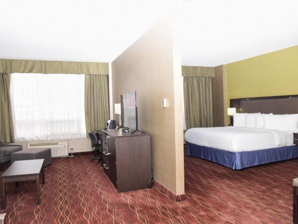 Days Inn by Wyndham Ottawa : photo 2 de la chambre suite lit king-size exécutive - non-fumeurs