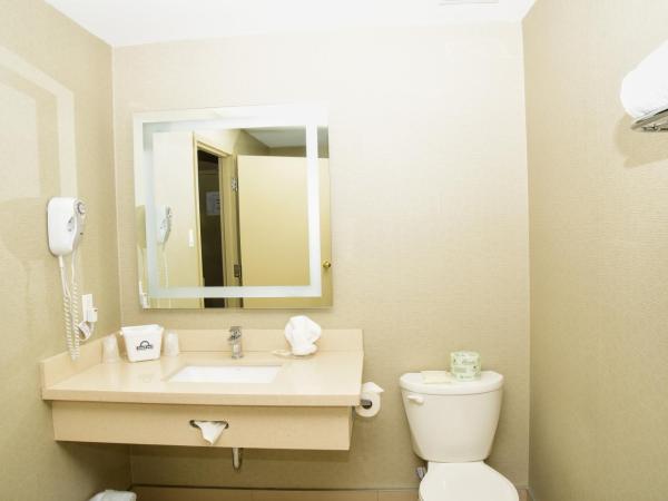 Days Inn by Wyndham Ottawa : photo 4 de la chambre suite lit king-size exécutive - non-fumeurs