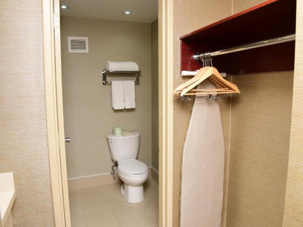 Days Inn by Wyndham Ottawa : photo 4 de la chambre chambre avec 1 lit queen-size