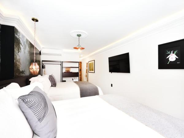 Orchid House Polanco : photo 4 de la chambre chambre lits jumeaux