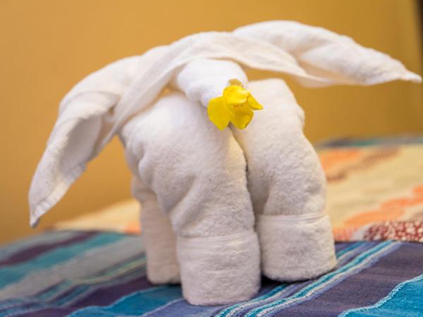 La Margarita : photo 4 de la chambre chambre triple - vue sur jardin