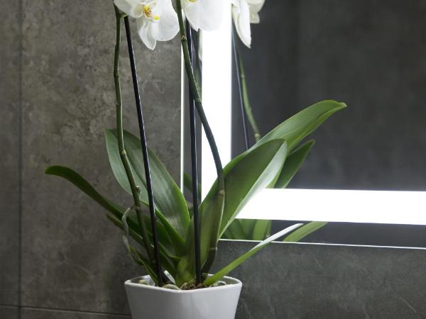 Warwick Reine Astrid - Lyon : photo 3 de la chambre suite privilège