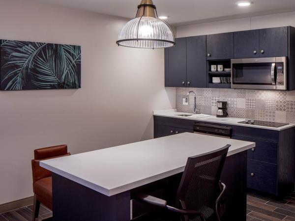 Hyatt House Tampa Downtown : photo 1 de la chambre king studio suite with kitchen and sofa bed