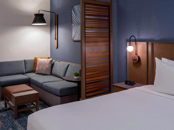 Hyatt Place Tampa Downtown : photo 3 de la chambre chambre king standard avec canapé-lit