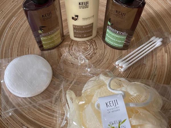 Hotel L'Orangeraie : photo 1 de la chambre chambre double - vue sur rue et jardin