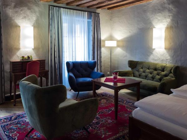 Altstadt Hotel Stadtkrug : photo 5 de la chambre comfort apartment (2 guests 50m2, 3 guests =60m2)