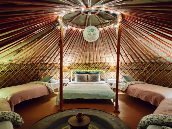 Shantee House : photo 1 de la chambre single bed in yurt (mixed dormitory)