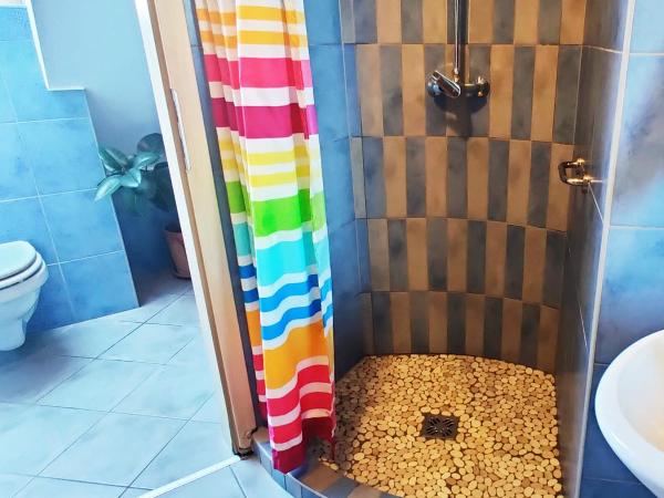 Shantee House : photo 1 de la chambre lit simple dans dortoir mixte