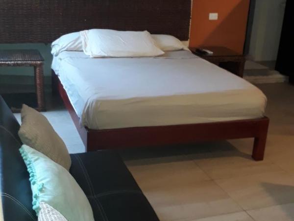 Bea rooms and studios : photo 2 de la chambre studio