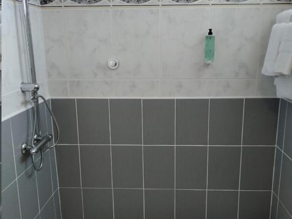 Hôtel Christina Lourdes : photo 7 de la chambre chambre double ou lits jumeaux