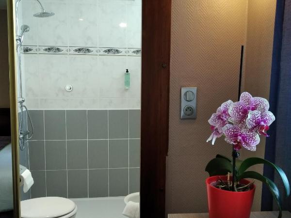 Hôtel Christina Lourdes : photo 8 de la chambre chambre double ou lits jumeaux