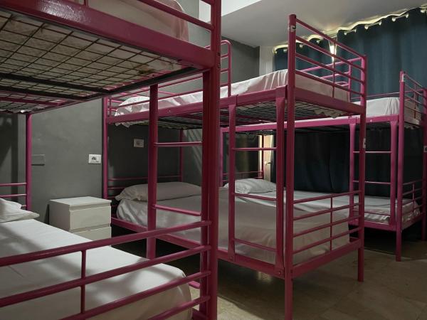 Lion Hostel : photo 5 de la chambre lit dans dortoir pour femmes de 6 lits