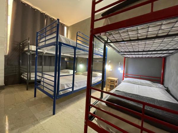 Lion Hostel : photo 5 de la chambre lit dans dortoir mixte de 8 lits 