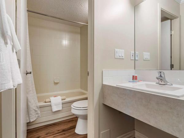 Econo Lodge Inn & Suites : photo 4 de la chambre chambre double standard avec 2 lits doubles - non-fumeurs