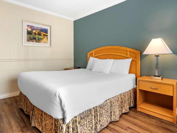 Econo Lodge Inn & Suites : photo 1 de la chambre chambre lit queen-size standard - non-fumeurs