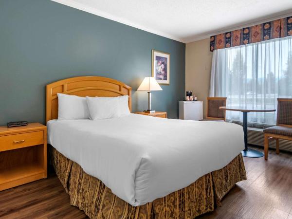 Econo Lodge Inn & Suites : photo 2 de la chambre chambre lit queen-size standard - non-fumeurs