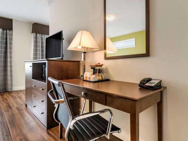 Econo Lodge Inn & Suites : photo 3 de la chambre chambre supérieure avec 2 lits queen-size - non-fumeurs/couloir intérieur