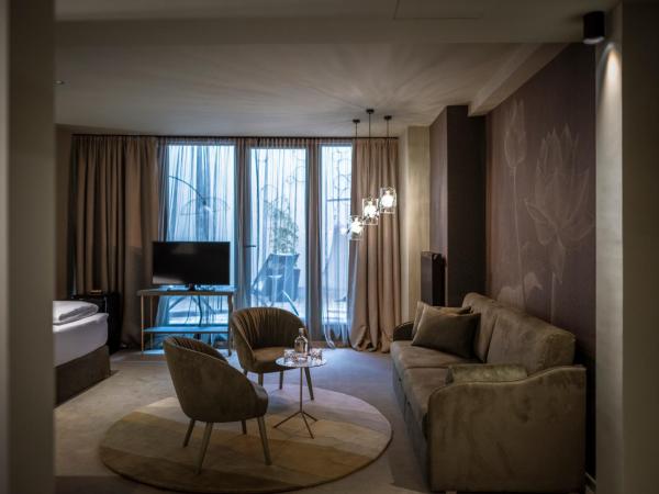 Altstadthotel Weisses Kreuz : photo 8 de la chambre suite super patio 