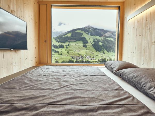Revier Mountain Lodge Adelboden : photo 4 de la chambre chambre double - vue sur montagne