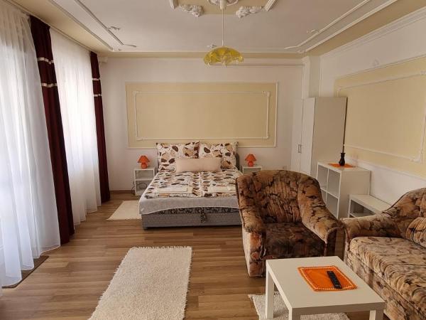 Bangó Vendégház : photo 3 de la chambre appartement avec terrasse