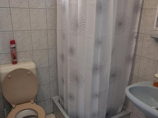 Bangó Vendégház : photo 4 de la chambre appartement avec terrasse
