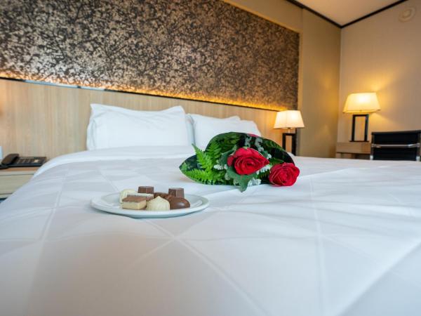 Holiday Inn Rosario, an IHG Hotel : photo 3 de la chambre chambre exécutive lit king-size - non-fumeurs
