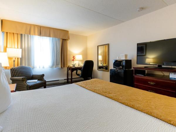 Travelodge by Wyndham Ottawa East : photo 3 de la chambre chambre lit king-size - non-fumeurs