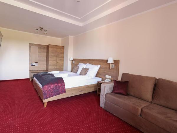 Pałacyk Karkonosze koło Karpacza : photo 5 de la chambre chambre double