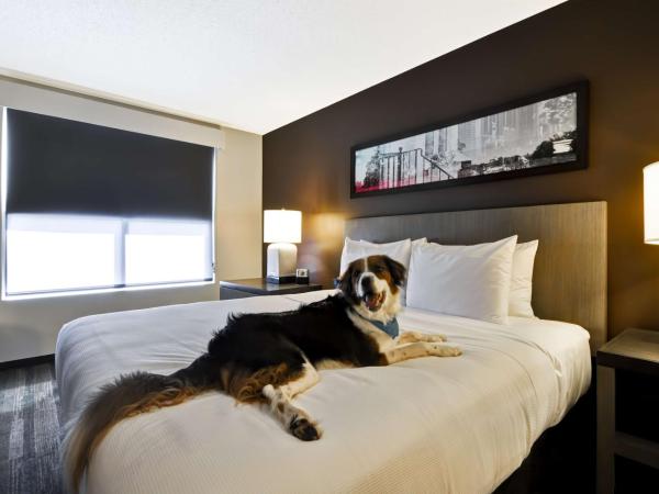 Hyatt House Atlanta Cobb Galleria : photo 3 de la chambre suite 1 chambre lit king-size