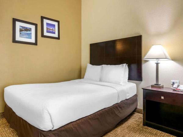 Comfort Inn International Dr : photo 3 de la chambre chambre standard avec 2 lits doubles - accessible aux personnes à mobilité réduite