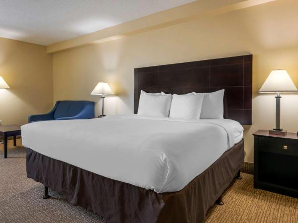 Comfort Inn International Dr : photo 1 de la chambre chambre lit king-size - canapé-lit
